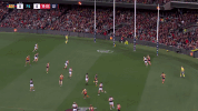 round 20 afl GIF by Adelaide Crows