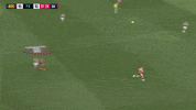 round 20 afl GIF by Adelaide Crows