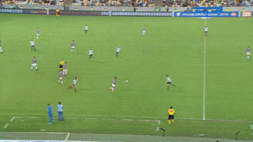 junior dutra GIF by Fluminense Football Club