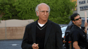 larry david GIF by hero0fwar