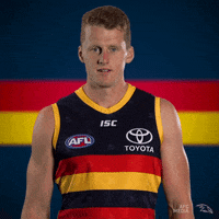adelaidecrows 2019 afl rob adelaide crows GIF