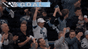 Happy Celebration GIF by NHL