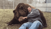 bear hug GIF