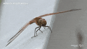 Racing Wow GIF by MotoGP