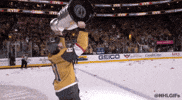Happy Stanley Cup Playoffs GIF by NHL