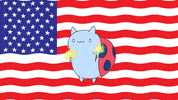 4Th Of July Animation GIF by Cartoon Hangover
