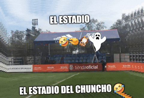 Uc Udechile GIF