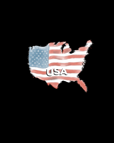 Klopotkat giphygifmaker usa flag america GIF