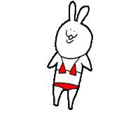 Japan Rabbit Sticker