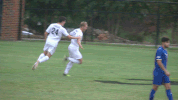 greg evans cnms18 GIF by Carson-Newman Athletics