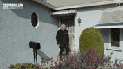 Dogwhisperer GIF by National Geographic Channel