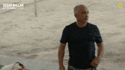 Dogwhisperer GIF by National Geographic Channel