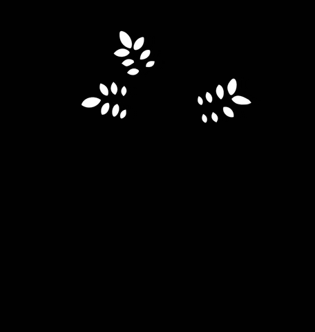 KahawaCoffee giphygifmaker kahawa kahawa congo coffee kahawa logo GIF
