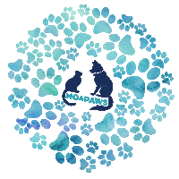 mo4paws cat dog cats dogs Sticker