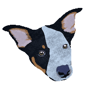 mo4paws cat dog cats dogs Sticker