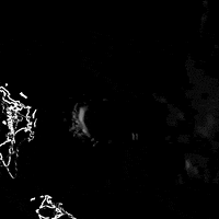 End Times Hurricane GIF by Nico Roxe