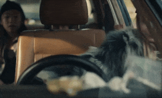 Gone GIF by SAYGRACE