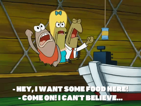 season 8 GIF by SpongeBob SquarePants