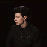 Val_en_tina shawn mendes GIF