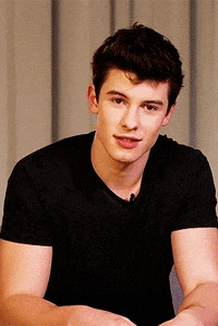 shawn mendes mood GIF