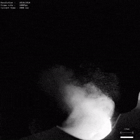 GIF by Imperial College London