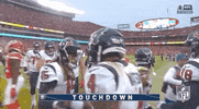 National Football League GIF by NFL