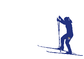 Cross Country Skiing Sticker by HSP Gripen