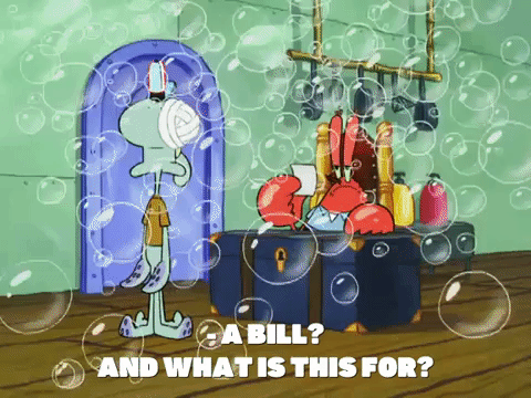 season 8 GIF by SpongeBob SquarePants