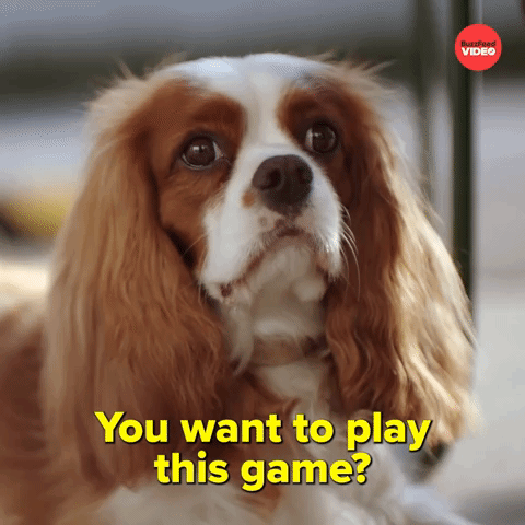 You want to play?