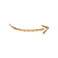 Arrow Gold Sticker by FrauHappinez