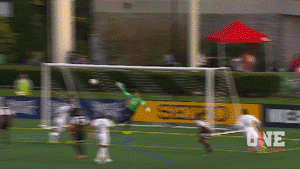 new york cosmos soccer GIF by ONE World Sports