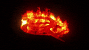 Respective Collective GIF by Respective