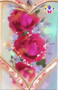 Corazon Rosa GIF by Murcianys LLC