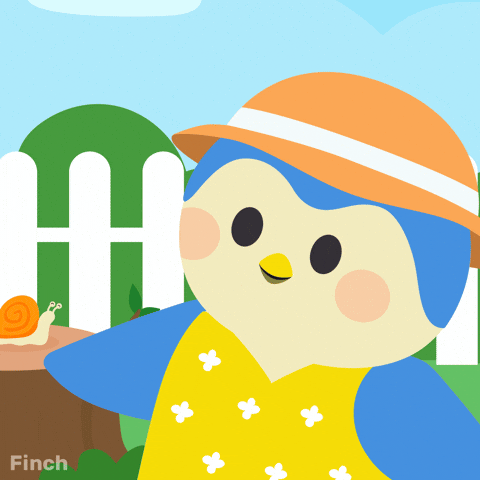 Summer Sun GIF by Finch Care