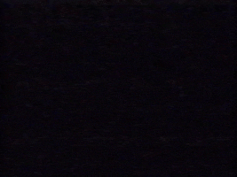 Vhs Software GIF by Squirrel Monkey