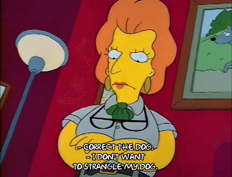 Season 2 GIF by The Simpsons