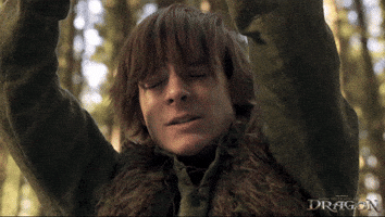 Dragons Struggle GIF by How To Train Your Dragon