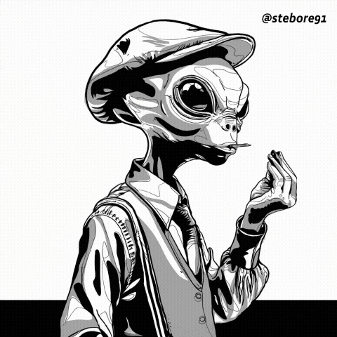 stebore91 giphyupload what lol wtf GIF