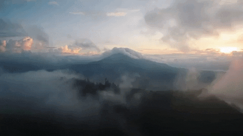 GIF by WellMode