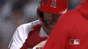 Regular Season Yes GIF by MLB