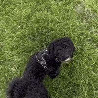 Out Of Office Friday GIF