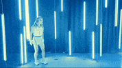 North Carolina GIF by UNC Tar Heels