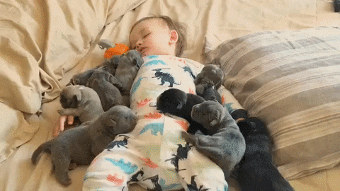 kid bed GIF