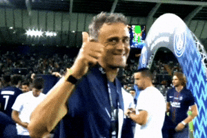 Paris Saint-Germain Psg GIF