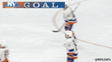 Celebrate Ice Hockey GIF by NHL