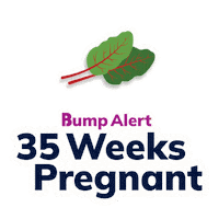 Pregnancy Expecting Sticker by The Bump