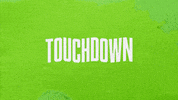 GIF by Seattle Seahawks