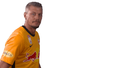 Hide Alex Walke Sticker by FC Red Bull Salzburg