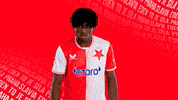 Serious Football GIF by SK Slavia Praha
