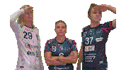 Celebration Handball Sticker by mhb33
